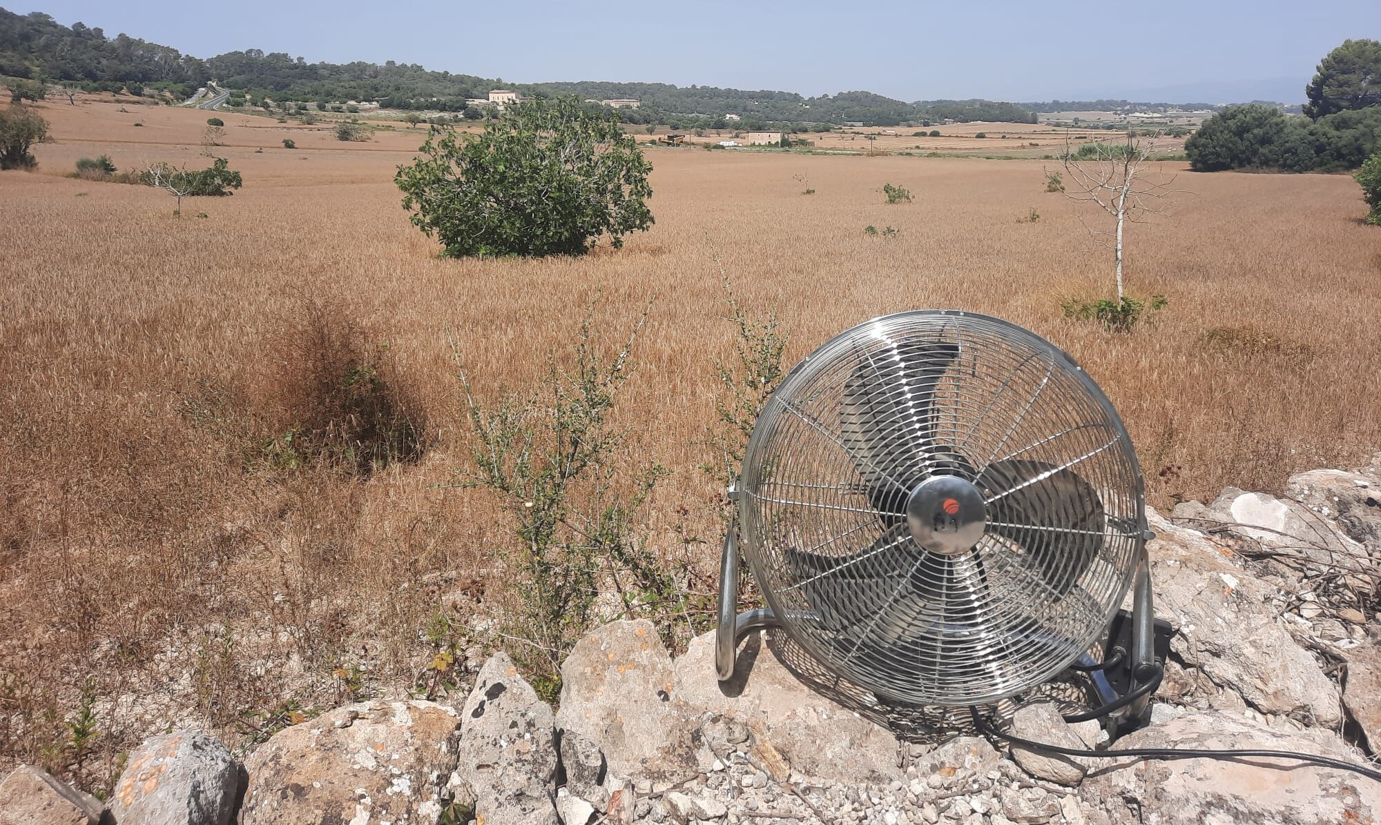 El Govern fixa l’alerta per calor en el Pla en 35,9°, la més elevada de les Balears