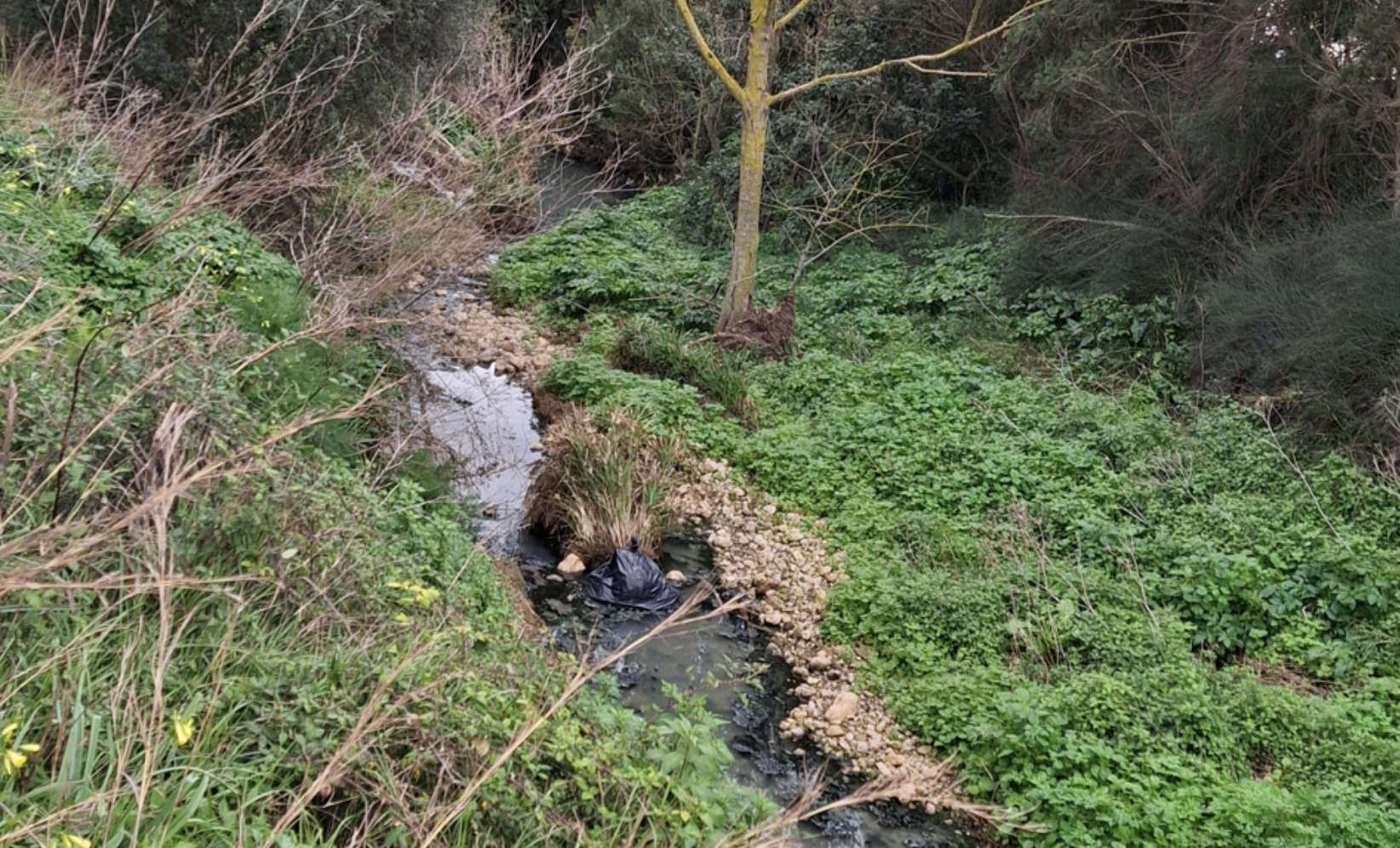 “A cada ploguda el torrent és una amenaça per a Biniali”